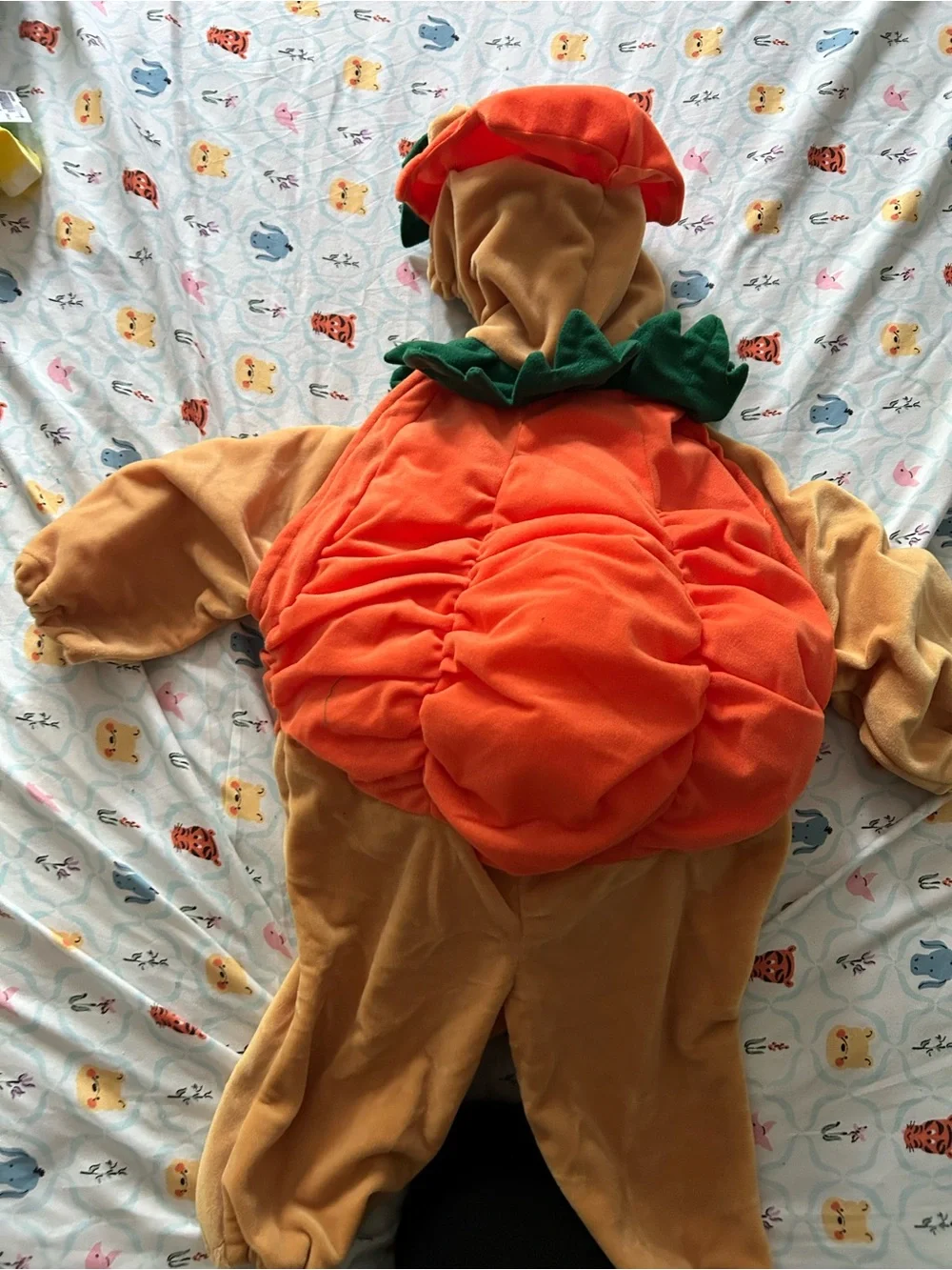 Disney Orange and Green Pumpkin Pooh Kids Costume